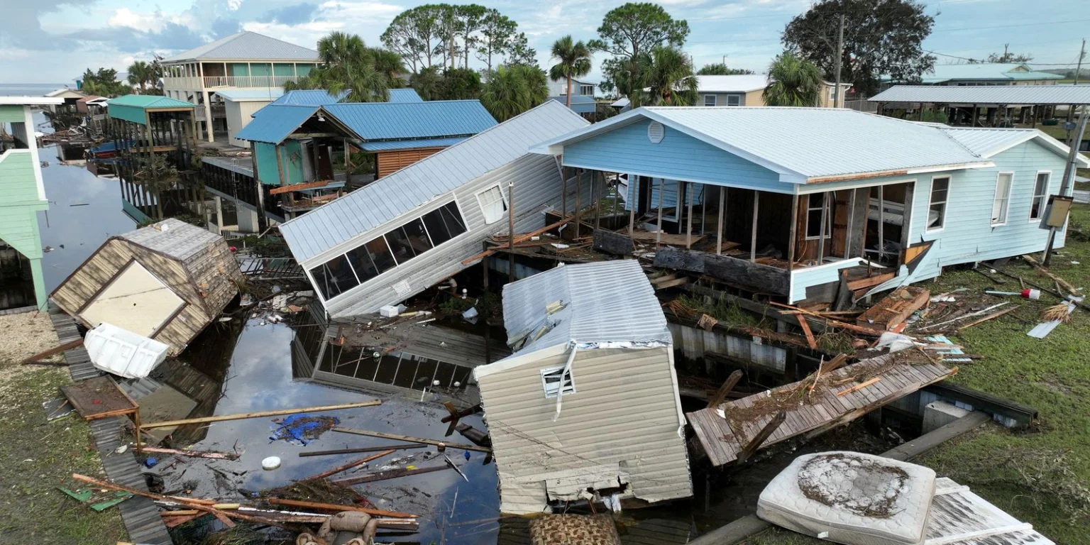 Tubarões: Os Novos Meteorologistas do Oceano na Previsão de Furacões